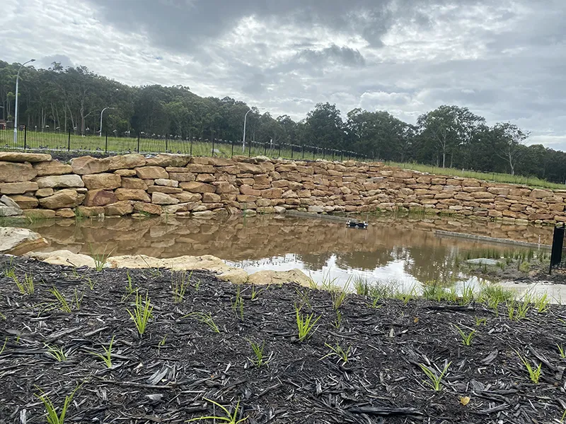 johns road development commerical fencing (2)